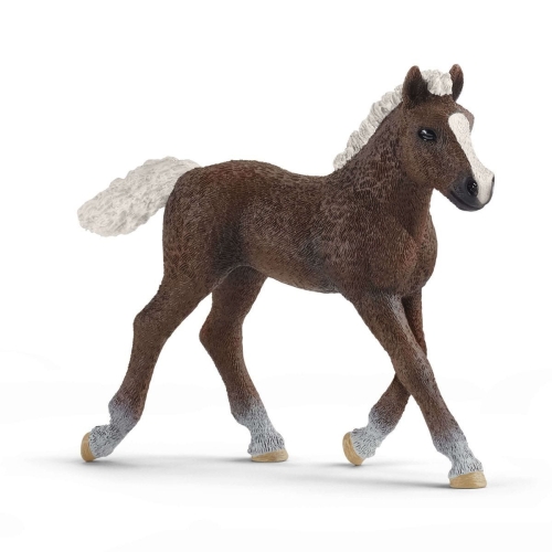 Schleich 13899 Schwarzwaldfohlen