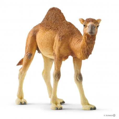 Schleich 14832 Dromedar