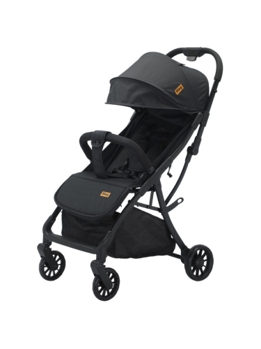 Ding Buggy Remi Schwarz