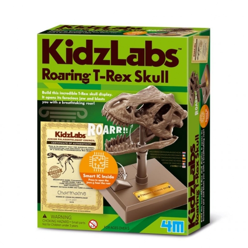 4M Kidzlabs Brüllender T-Rex-Schädel