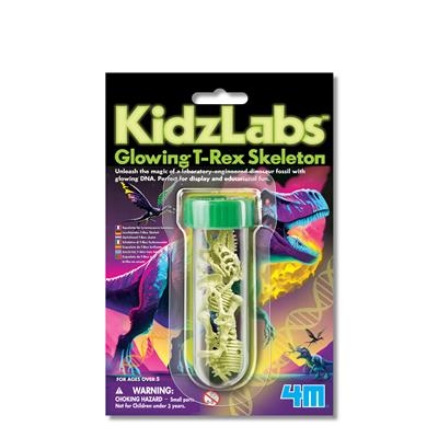 4M Kidzlabs Wissenschaft Karte T-Rex Skelett Glow-in-the-dark